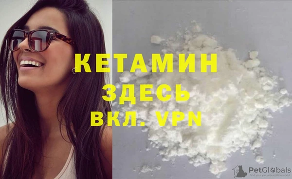 дживик Пересвет