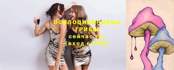 дживик Пересвет