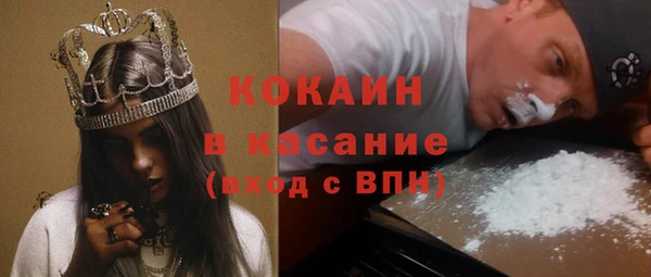 дживик Пересвет