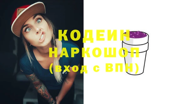 дживик Пересвет