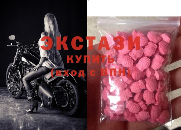 дживик Пересвет