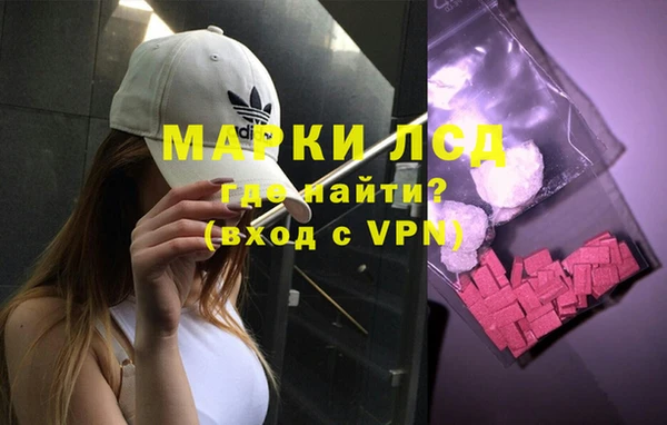 дживик Пересвет