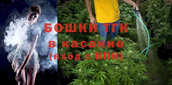 дживик Пересвет