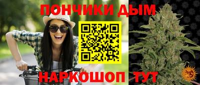 mdpv Обнинск