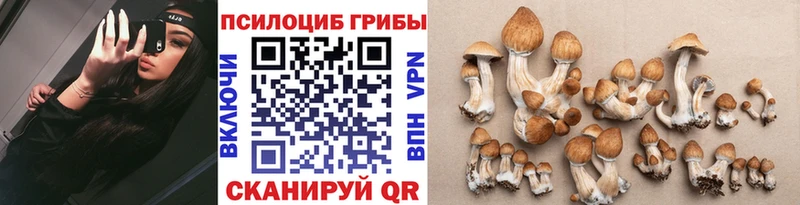 Галлюциногенные грибы мицелий как найти наркотики гидра рабочий сайт Сертолово
