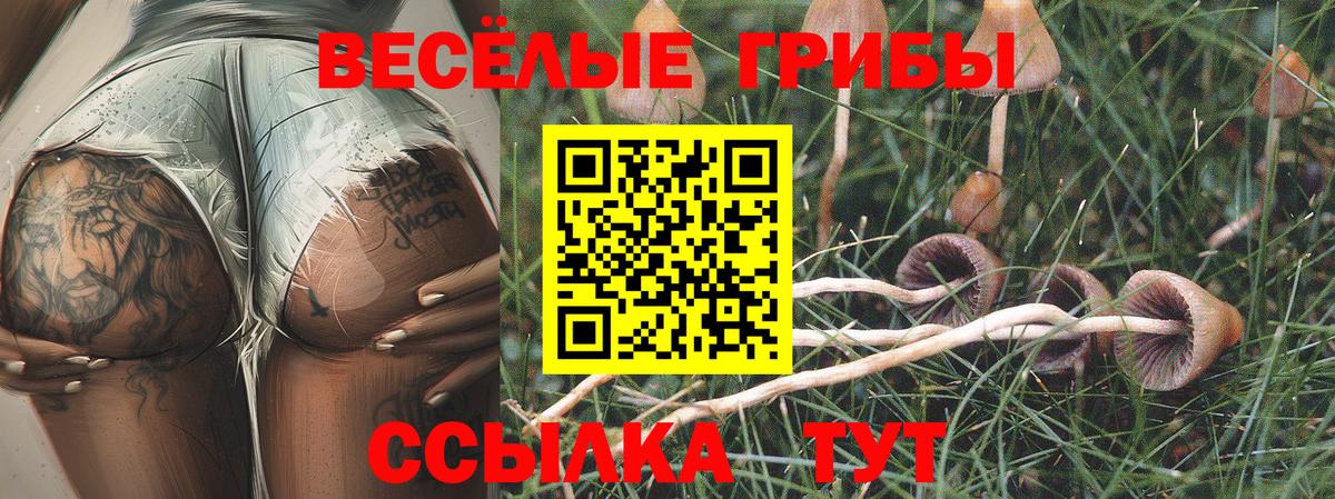 Псилоцибиновые грибы Psilocybine cubensis Сертолово