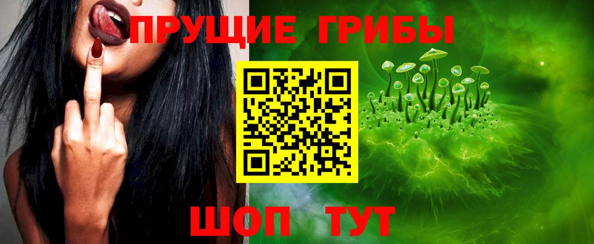 Псилоцибиновые грибы Cubensis  Галлюциногенные грибы Cubensis  Сертолово  Вход с VPN 
